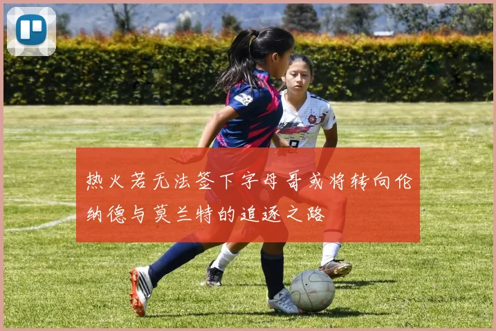 热火若无法签下字母哥或将转向伦纳德与莫兰特的追逐之路